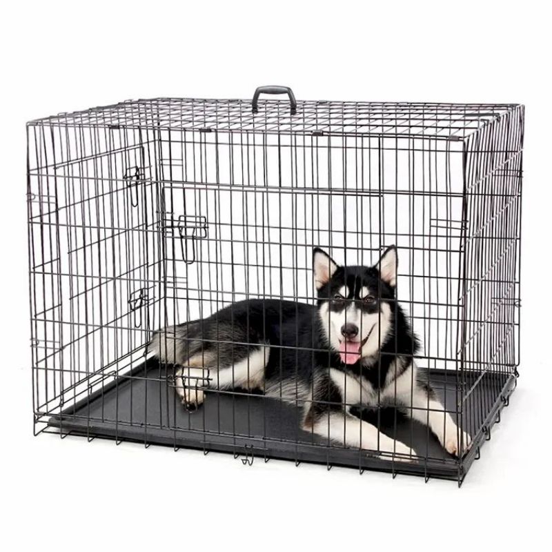 Magnus fortis Metal Dog Ferreus Cage