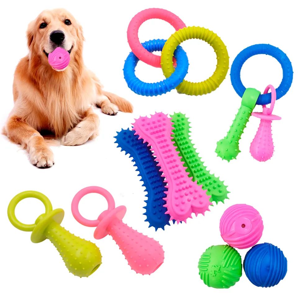 Mollis Tpr dentes elit canis Chew Pet Toy